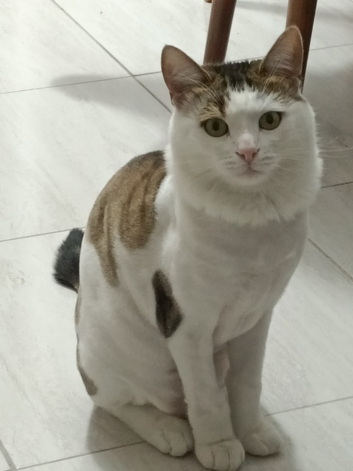 Biblo gibi Maşallah 😍