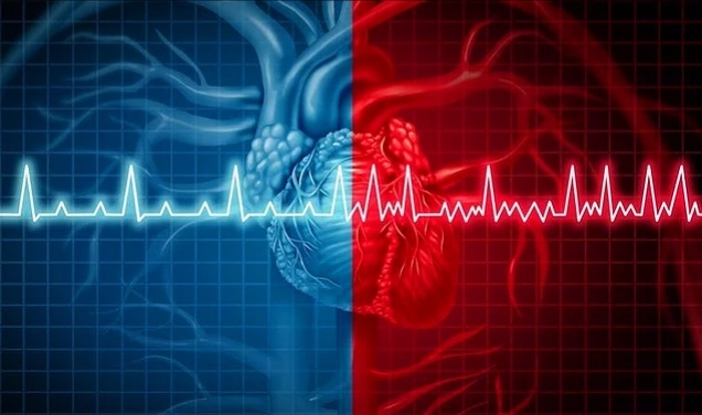 Düzenli olarak doktor kontrolüne gider misin?