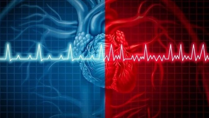 Düzenli olarak doktor kontrolüne gider misin?