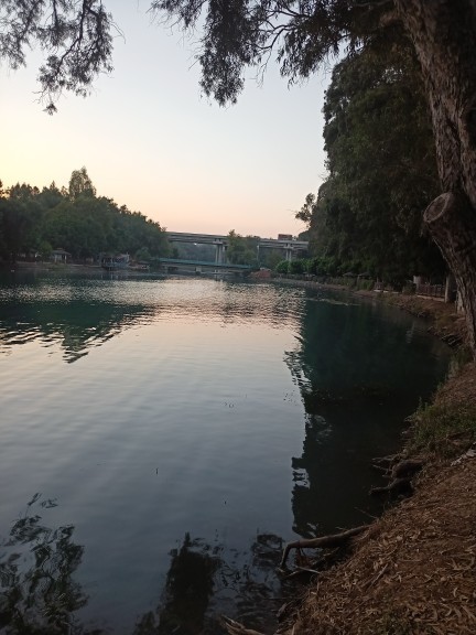 Volki ve Caner ile gezmelerdeyiz. Sizin akşamınız nasıl geçiyor?