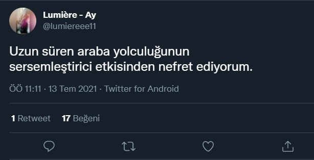 Uzun süren araba yolculuklarını sever misin?
