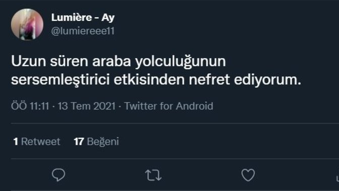 Uzun süren araba yolculuklarını sever misin?