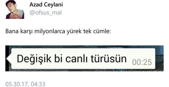 Beyler neden hep flörtöz kızları seviyorsunuz?