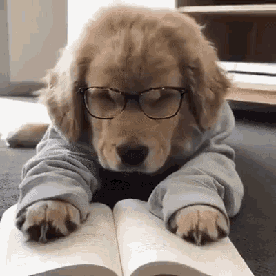 Okurken sıkıldığınız bir kitap olduğunda bitirmeyi mi yoksa, sıradaki kitaba geçmeyi mi seçiyorsunuz?