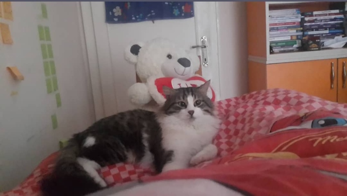 Bu çok tatlı değil mi? Sizin bundanınız var mı?