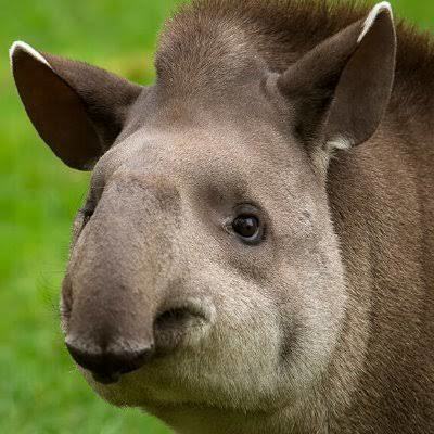Eski sevgilini düşündüğünde aklına gelen ilk şey nedir?