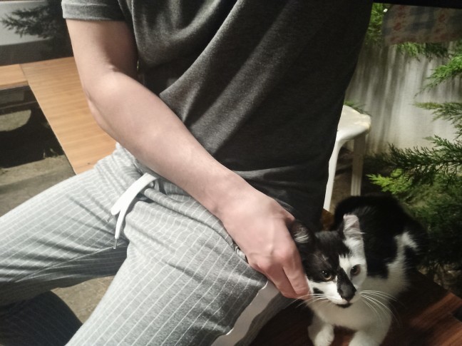 Smokin kedi buldum, sizce sahipleneyim mi onu?
