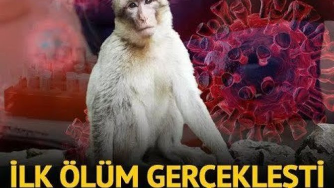 Çin'de Monkey B virüsü nedeniyle ilk ölüm gerçekleşti. Yeni virüs yeni bir dalganın habercisi mi?