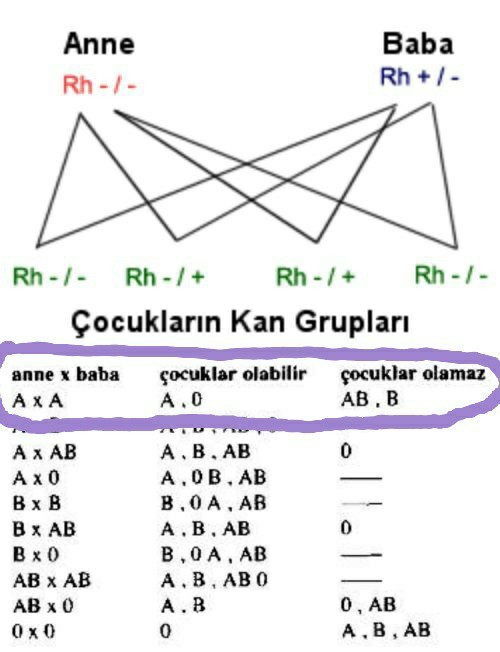 Bunca kanıtım vaar peki sizce evlatlık olabilir miyim?