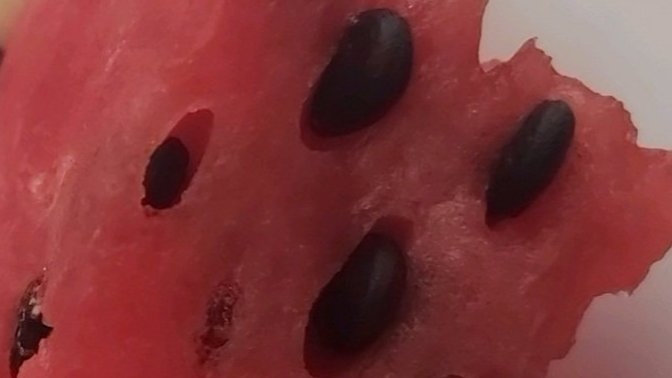 Bu görüntü seni rahatsız etti mi? Nasıl kurtulucam bu delik fobimden?