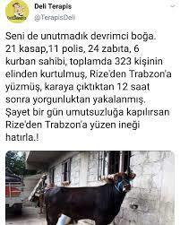 Devrimci boğayı kimler hatırlıyor?