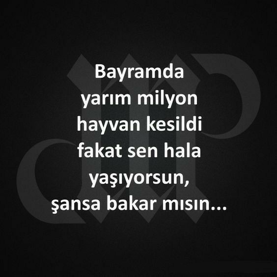 En yaratıcı kurban bayramı mesajları seri taktik verir misiniz?