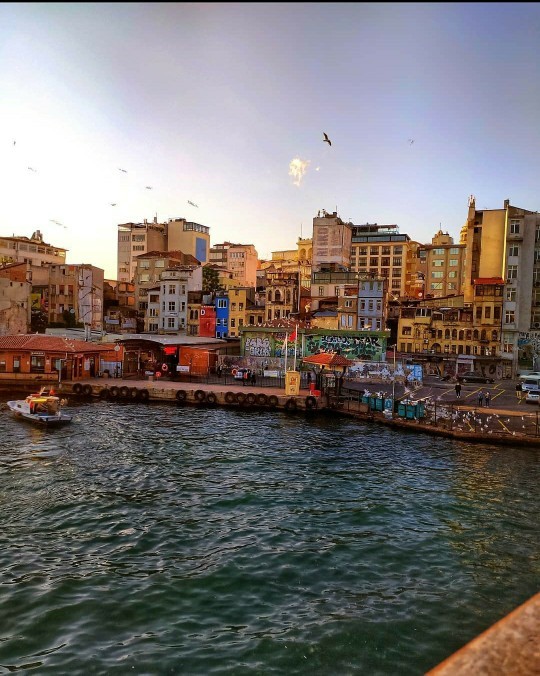 Sence İstanbul’da yaşanılır mı?