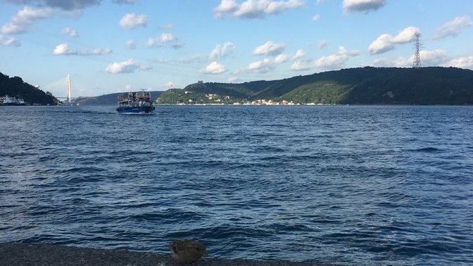 Sence İstanbul’da yaşanılır mı?