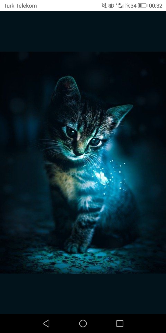benim kedi yatsın yanıma mır mır mır etsin yeterli 😌😌