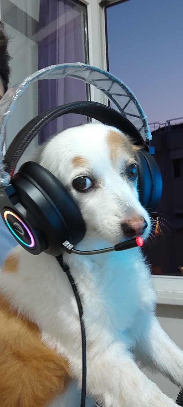 Kızım Gamer olacakmış, ya sen?