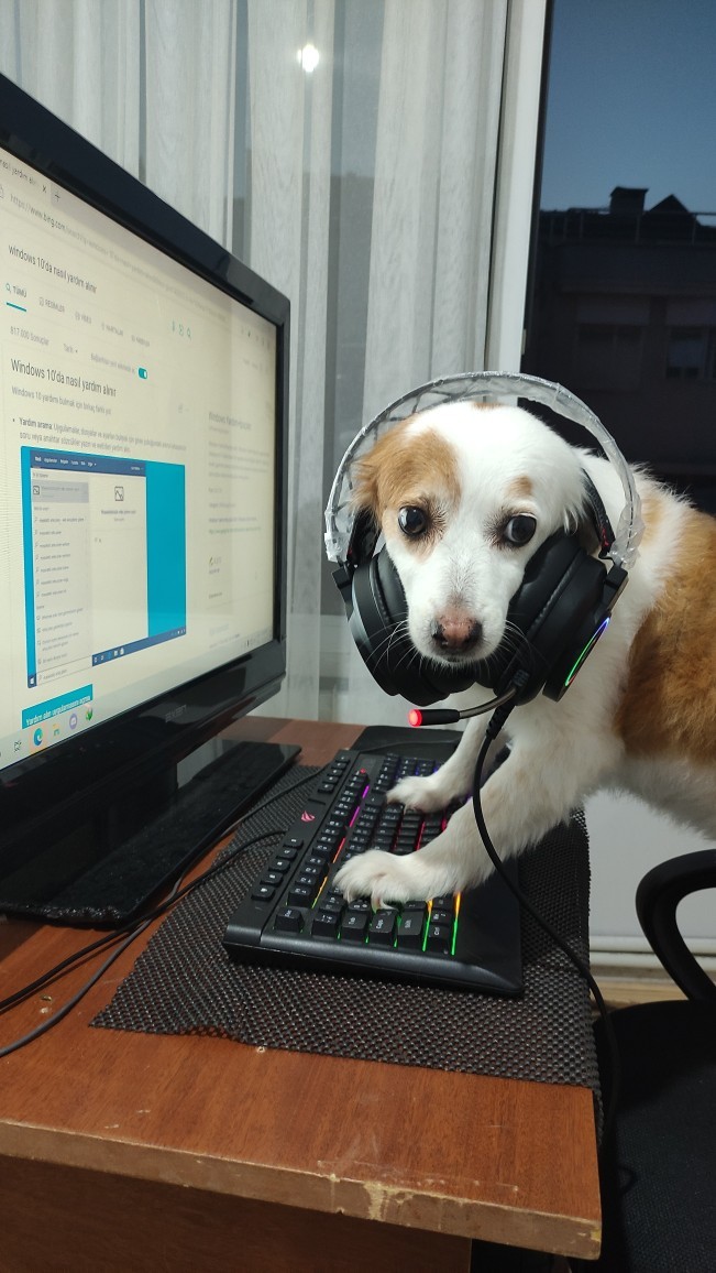 Kızım Gamer olacakmış, ya sen?