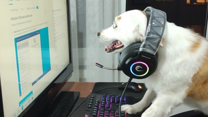 Kızım Gamer olacakmış, ya sen?