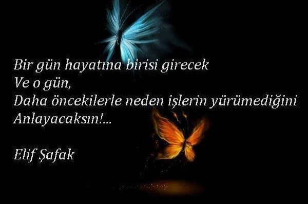 Sizce ben neden evde kalıyorum?