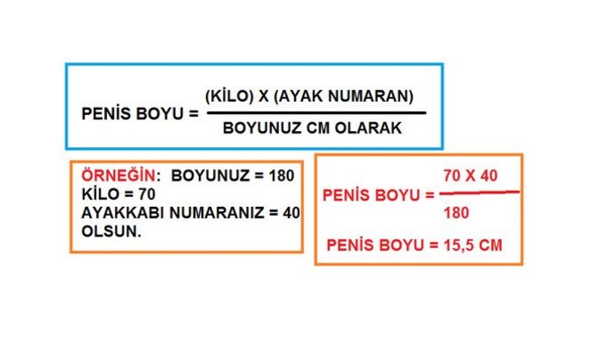 Penis boyunu hesaplamanın formülünü denediniz mi?