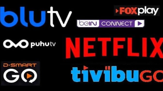 Internet üzerinden alınan aboneliklere yaklaşık ne kadar ücret ödüyorsunuz?