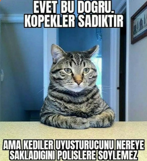 Hadi biraz gülelim en sevdiğiniz karikatür, fıkra, caps, komik söz, diyalog paylaşır mısınız?
