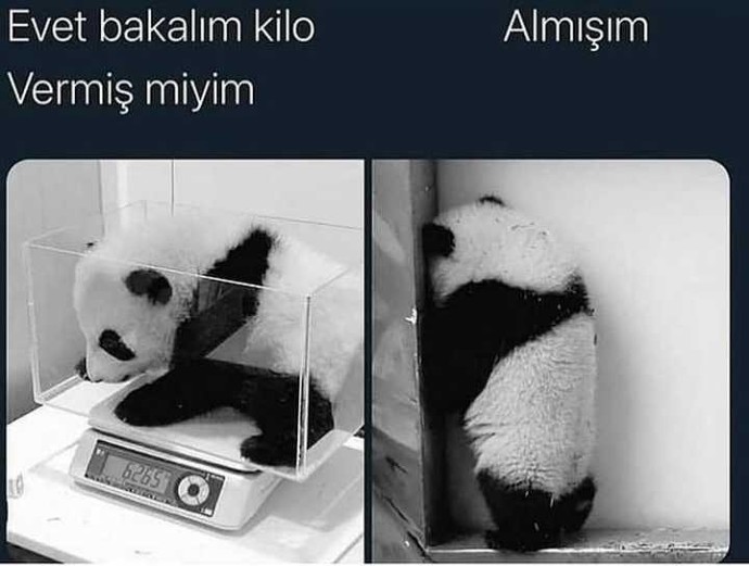 Hiç kilo verme umuduyla teraziye çıkıp, aldığınızı gördüğünüz oldu mu?