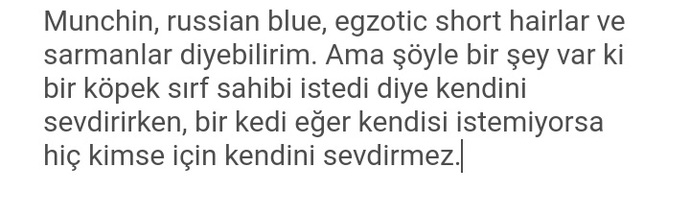Köpek gibi kendini sevdiren en sıcakkanlı kedi cinsleri hangisidir?