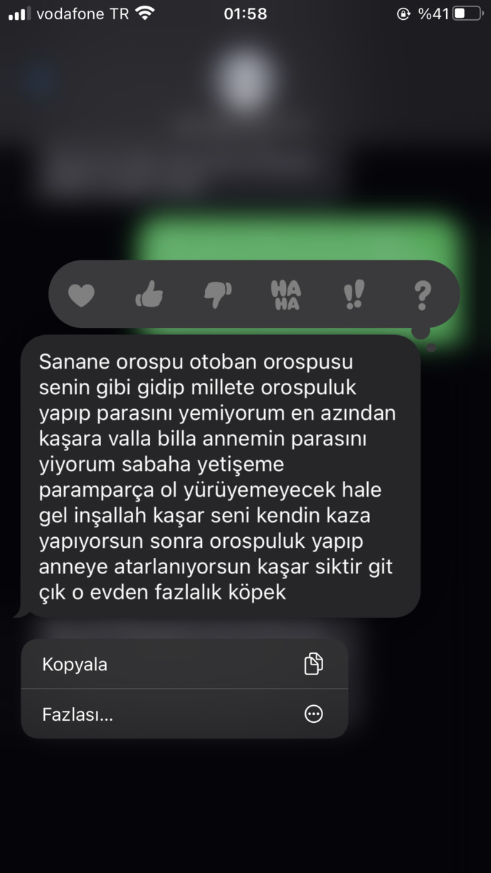 Ablasina boyle laflar eden kardese nasil bir ders vermeli?