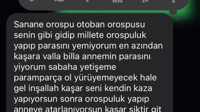 Ablasina boyle laflar eden kardese nasil bir ders vermeli?