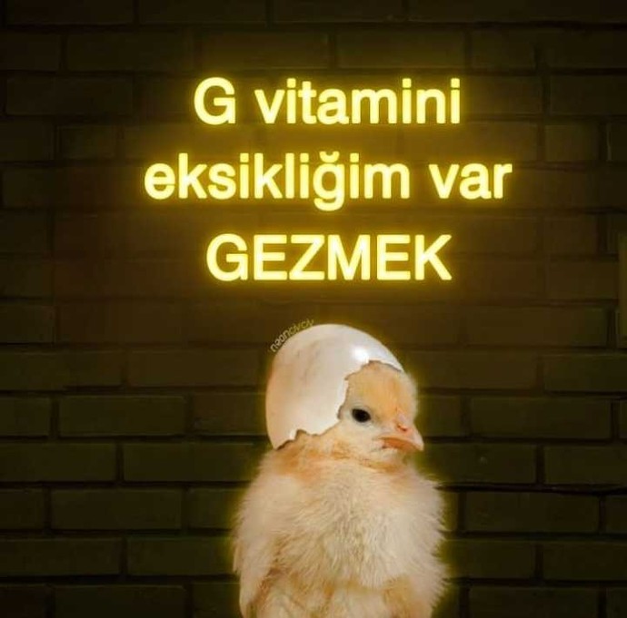 Sizin hangi vitamin eksikliğiniz var😂?