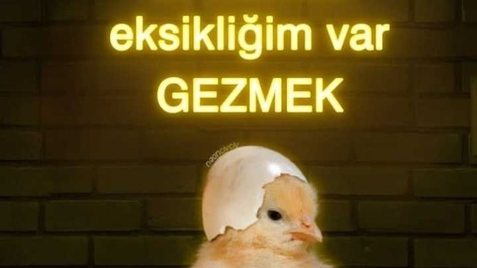 Sizin hangi vitamin eksikliğiniz var😂?