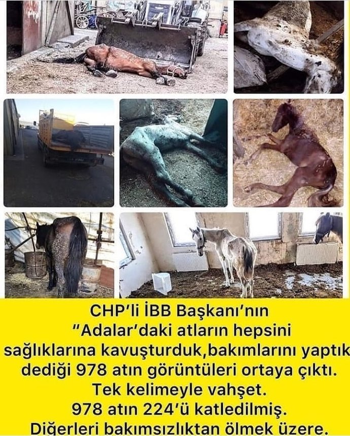 Bugün seçim olsa kime oy verirsin?