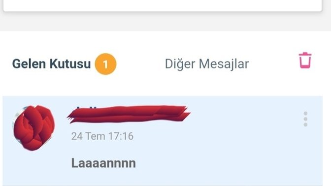 Şöyle atılan mesaja cevap verir misiniz?