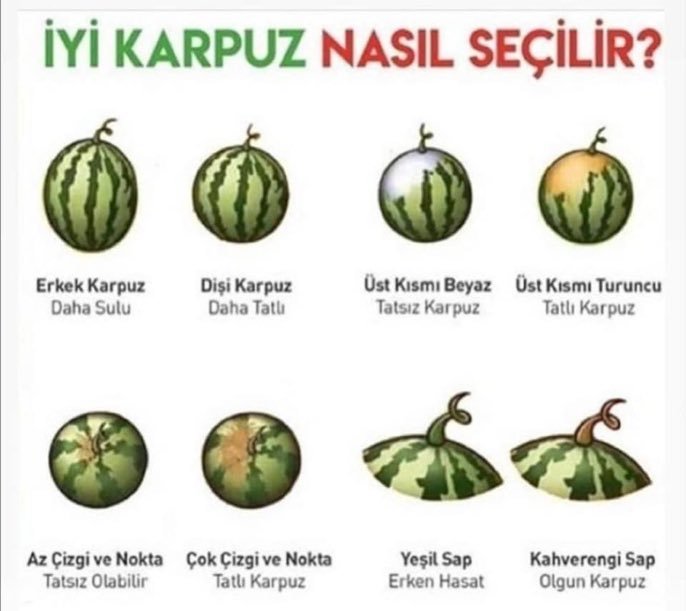 İyi karpuz seçen insanlara hayranım, iyi karpuz nasıl seçilir?