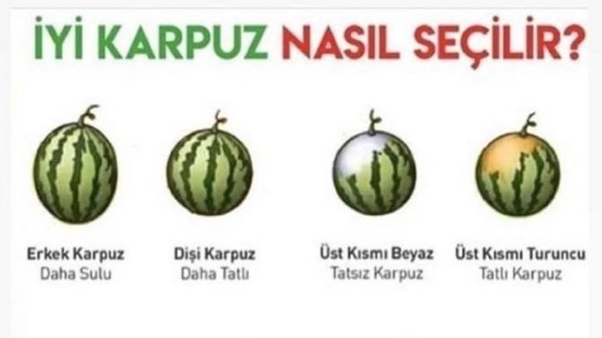 İyi karpuz seçen insanlara hayranım, iyi karpuz nasıl seçilir?