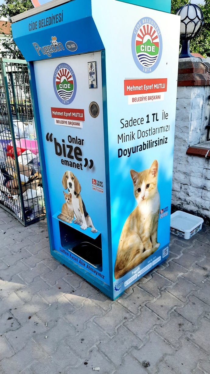 Yaşadığınız şehirde sokak hayvanları için farkındalık oluşturacak çalışmalar yapılıyor mu ve de neler yapılabilir?