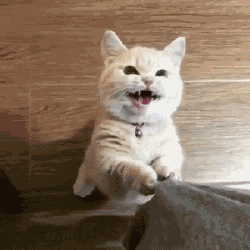 Size, sizi anlatan bir GIF göndereyim mi?