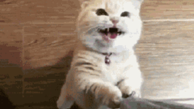 Size, sizi anlatan bir GIF göndereyim mi?