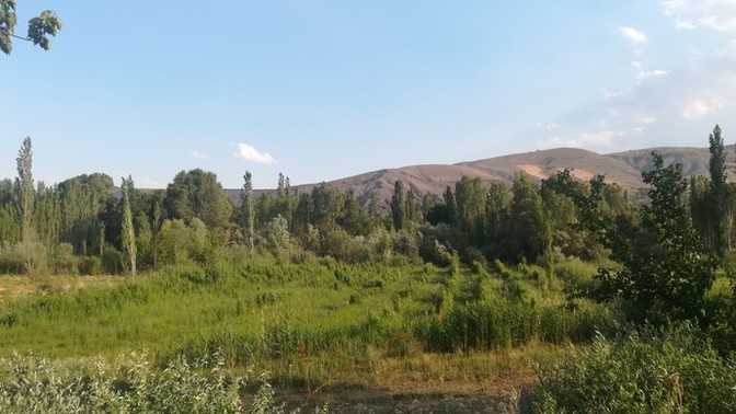 Sizin gözünüzde ben nasıl biriyim?