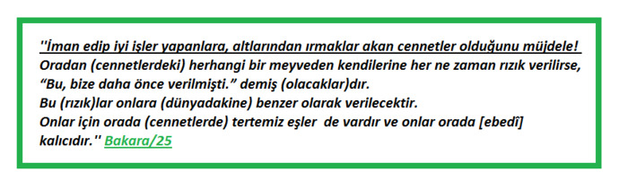 BAKARA/25