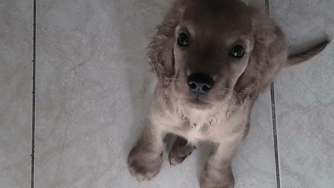Benim aşkım nasıl sizce?