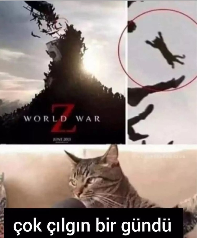 En sevdiğiniz zombi filmi hangisi?