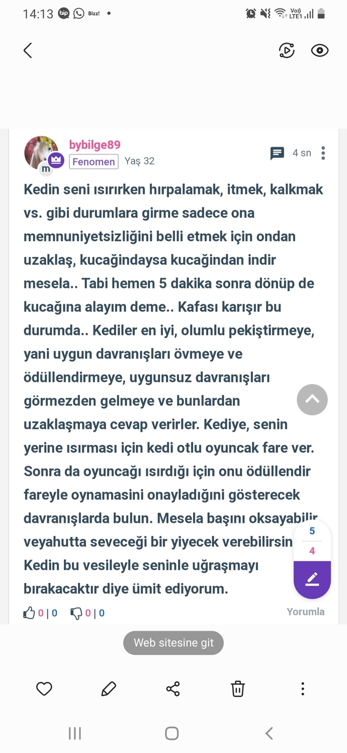 Kedim çok pis saldırıyor, her yerim kan içinde kalıyor. Ne yapabilirim?