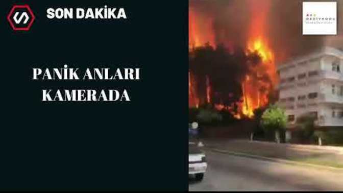 Antalya Manavgat'ta orman yangını! Yerleşim yerleri tehdit altında. Gördünüz mü?
