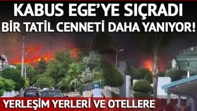 Muğla Marmaris'te orman yangını. Sizce bilinçli mi yangın çıkartılıyor?