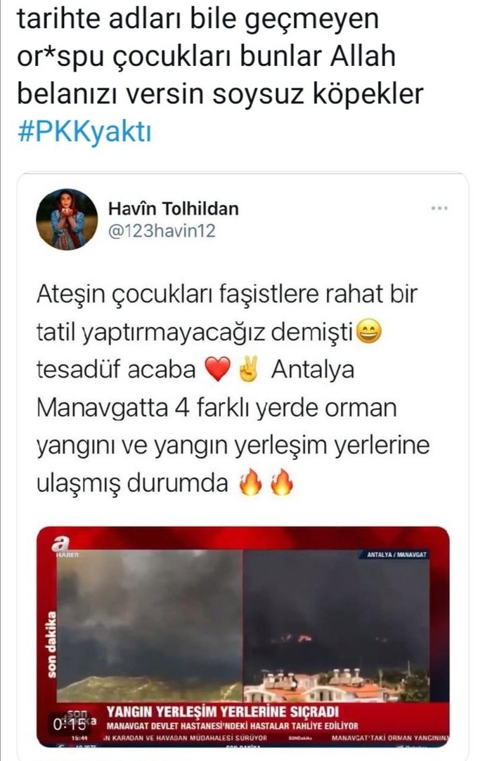 Hayvanlar yanıyor, ormanlar yanıyor, içimiz yanıyor. Telef olan hayvanlara bile acımadan bu işi yapanlar kim?