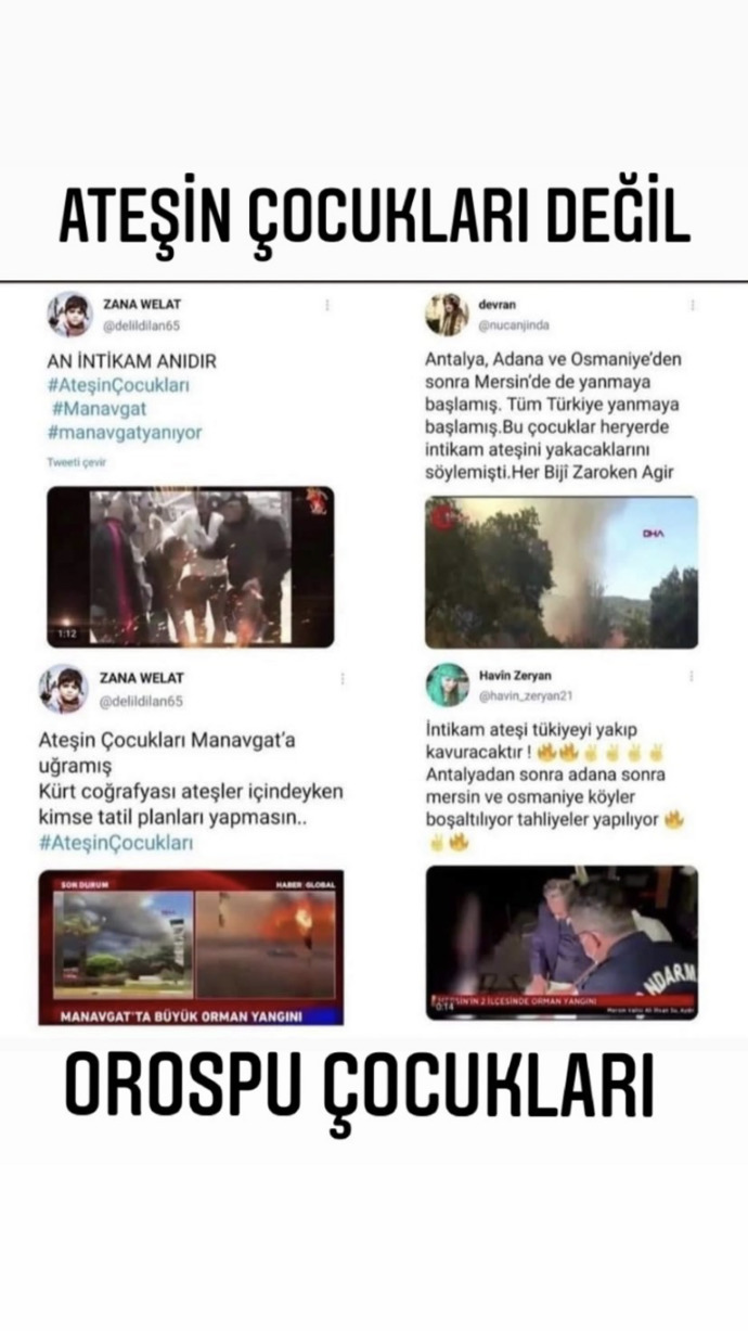Hayvanlar yanıyor, ormanlar yanıyor, içimiz yanıyor. Telef olan hayvanlara bile acımadan bu işi yapanlar kim?