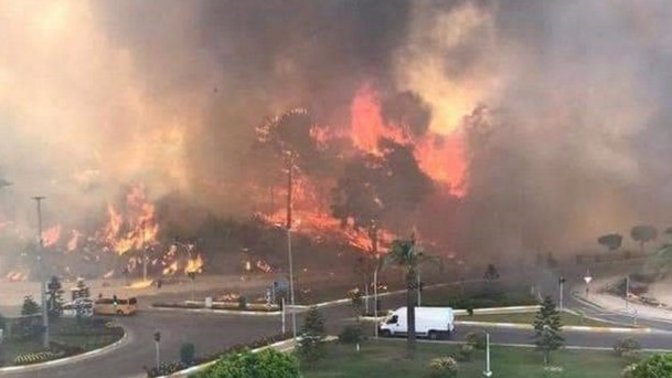 Türkiyenin 8 il 14 noktasında çıkan orman yangınları hakkında ne düşünüyorsunuz?