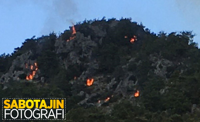 Marmaris'te çıkan yangının 2 çocuk tarafından başlatıldığı iddia ediliyor! Bu gerçek olabilir mi?